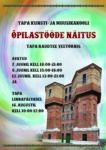 Tapa Kunsti- ja Muusikakooli õpilastööde näitus